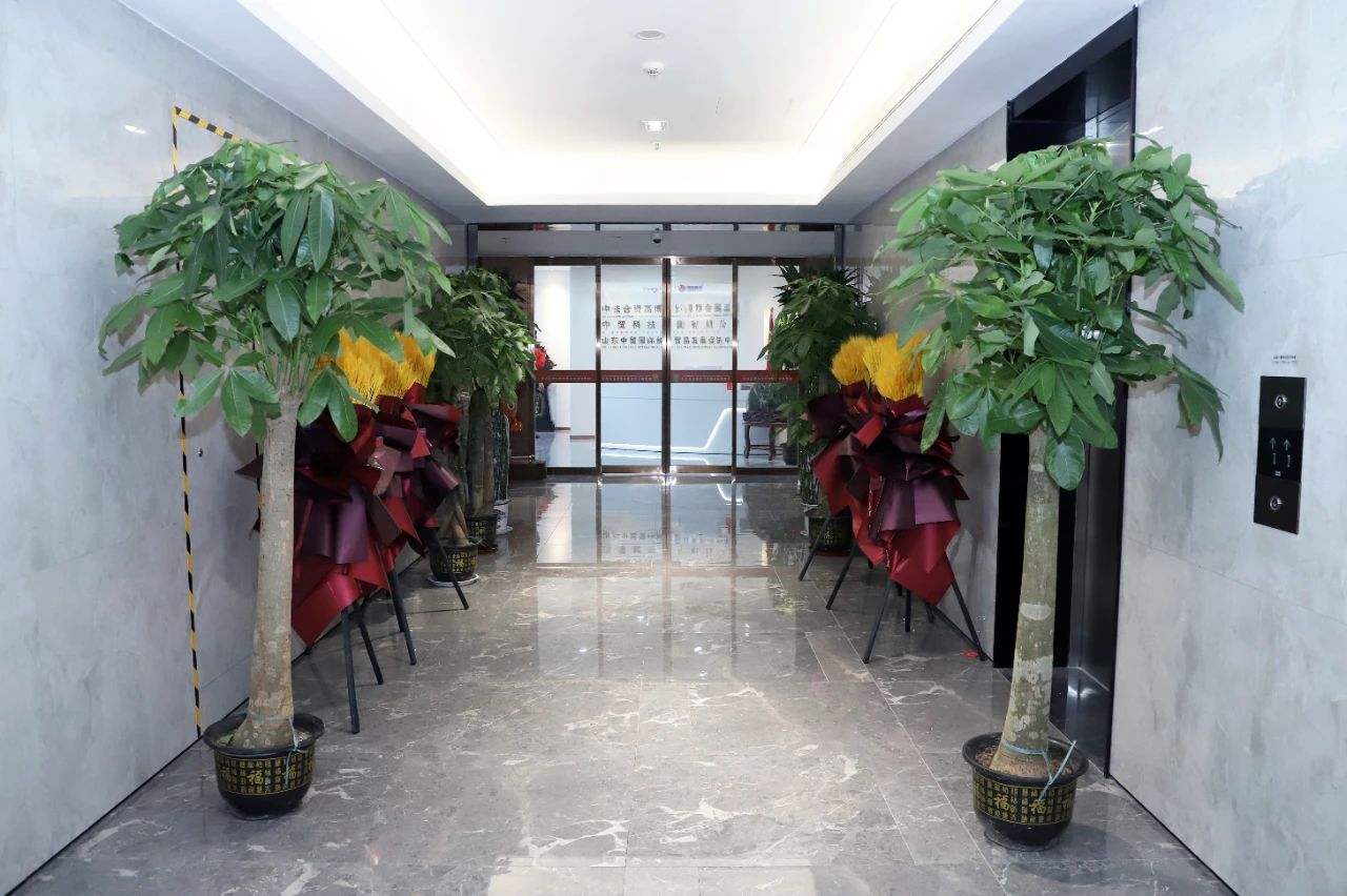 1701137279777333.jpg 1701137279777333.jpg